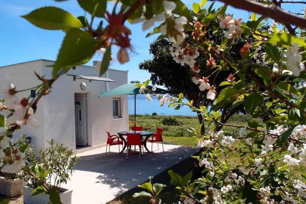 Summerhouse Calypso سبليت المظهر الخارجي الصورة